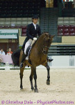 Amalon in the USA